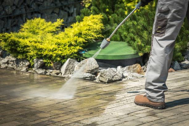 Best Animal Enclosure Cleaning  in Neillsville, WI