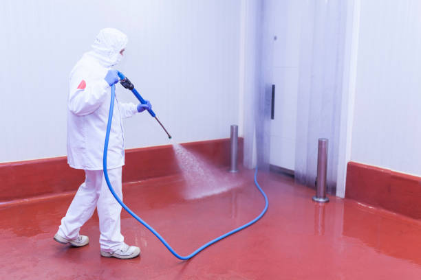 Trusted Neillsville, WI Pressure Washing Services Experts