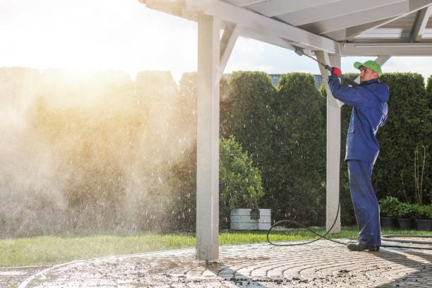 Pre-Holiday Cleaning in Neillsville, WI