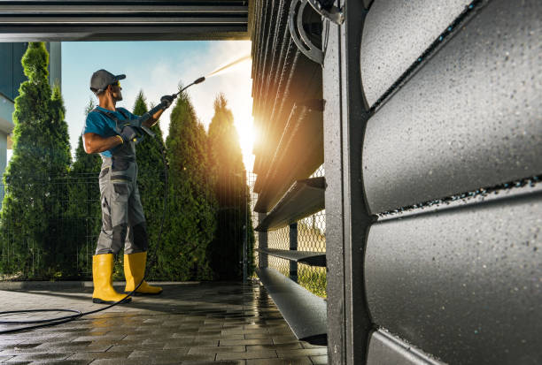 Best Graffiti Removal  in Neillsville, WI